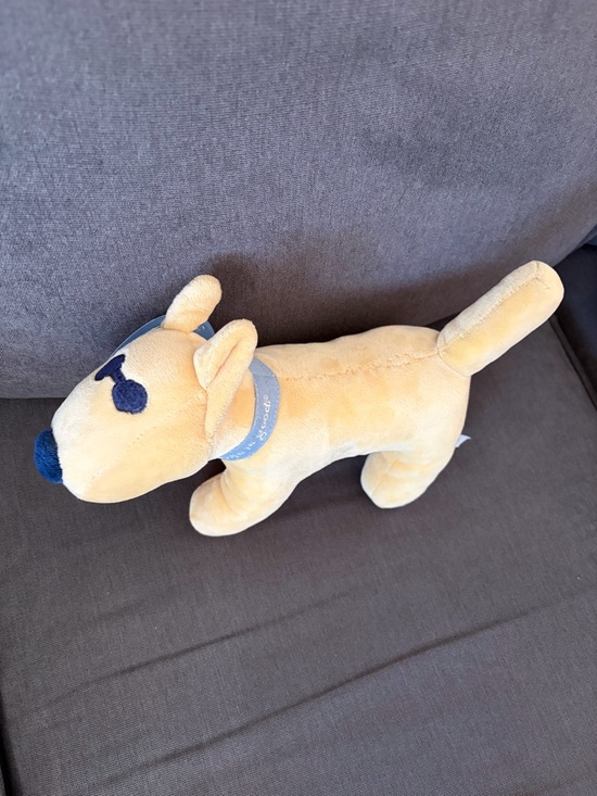 Life Is Good Other - Life Is Good Stuffed Animal Dog Rocket Brand New